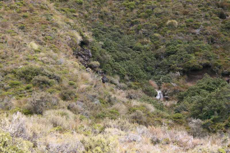 Nieuw-Zeeland 2011 - 0857